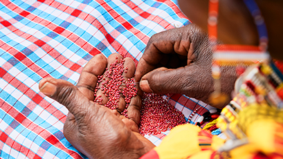 WE Village Local community