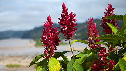 ME to WE Trips Third Party Assessments