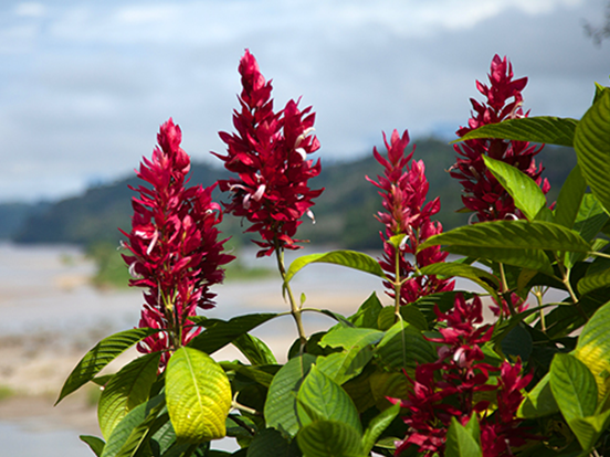 ME to WE Trips Third Party Assessments